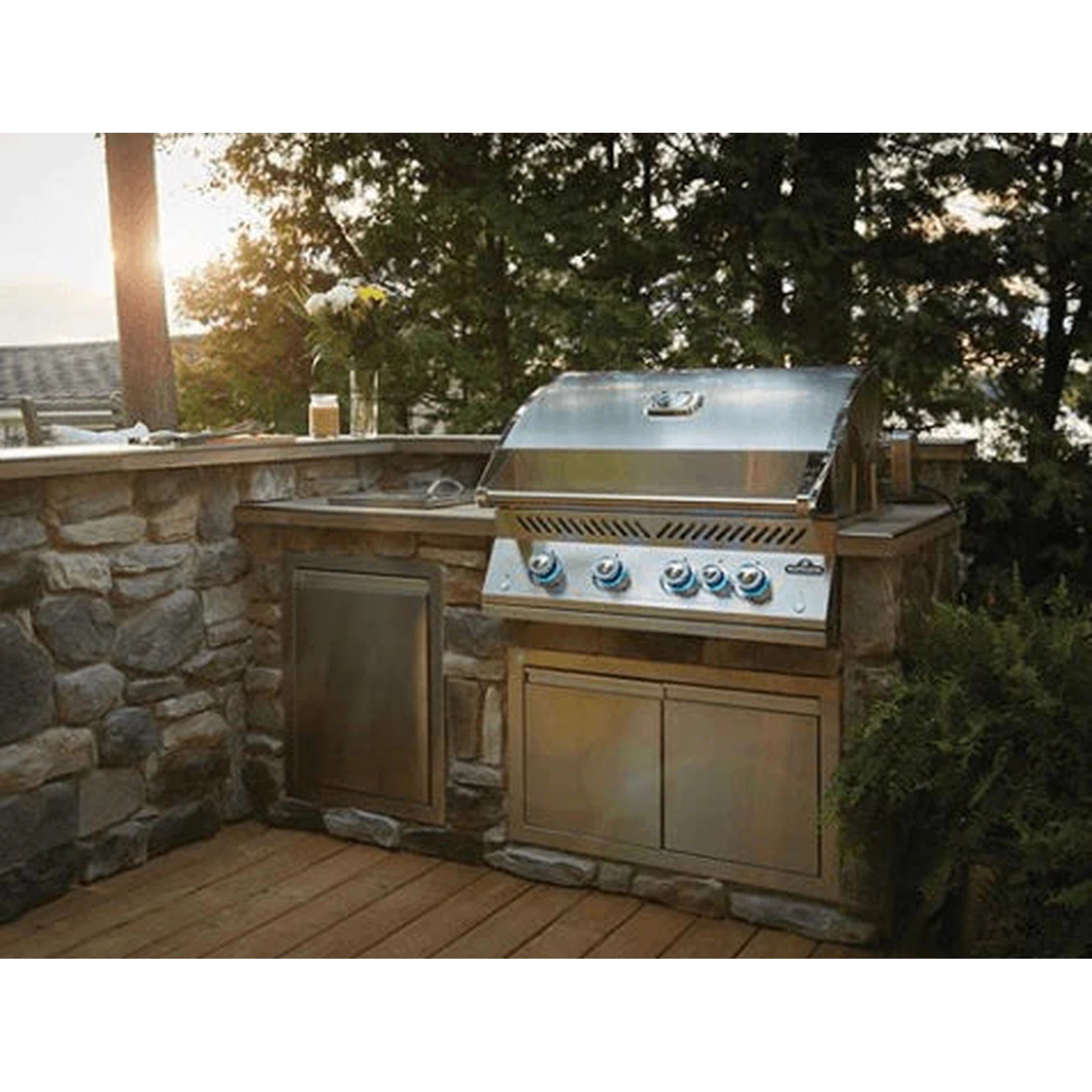 Napoleon Built-In 700 Series 32" with Infrared Rear Burner, Stainless Steel