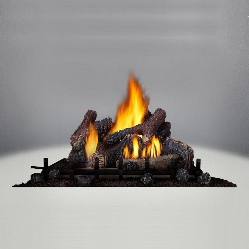 Napoleon Riverside 42 Clean Face Outdoor Gas Fireplace