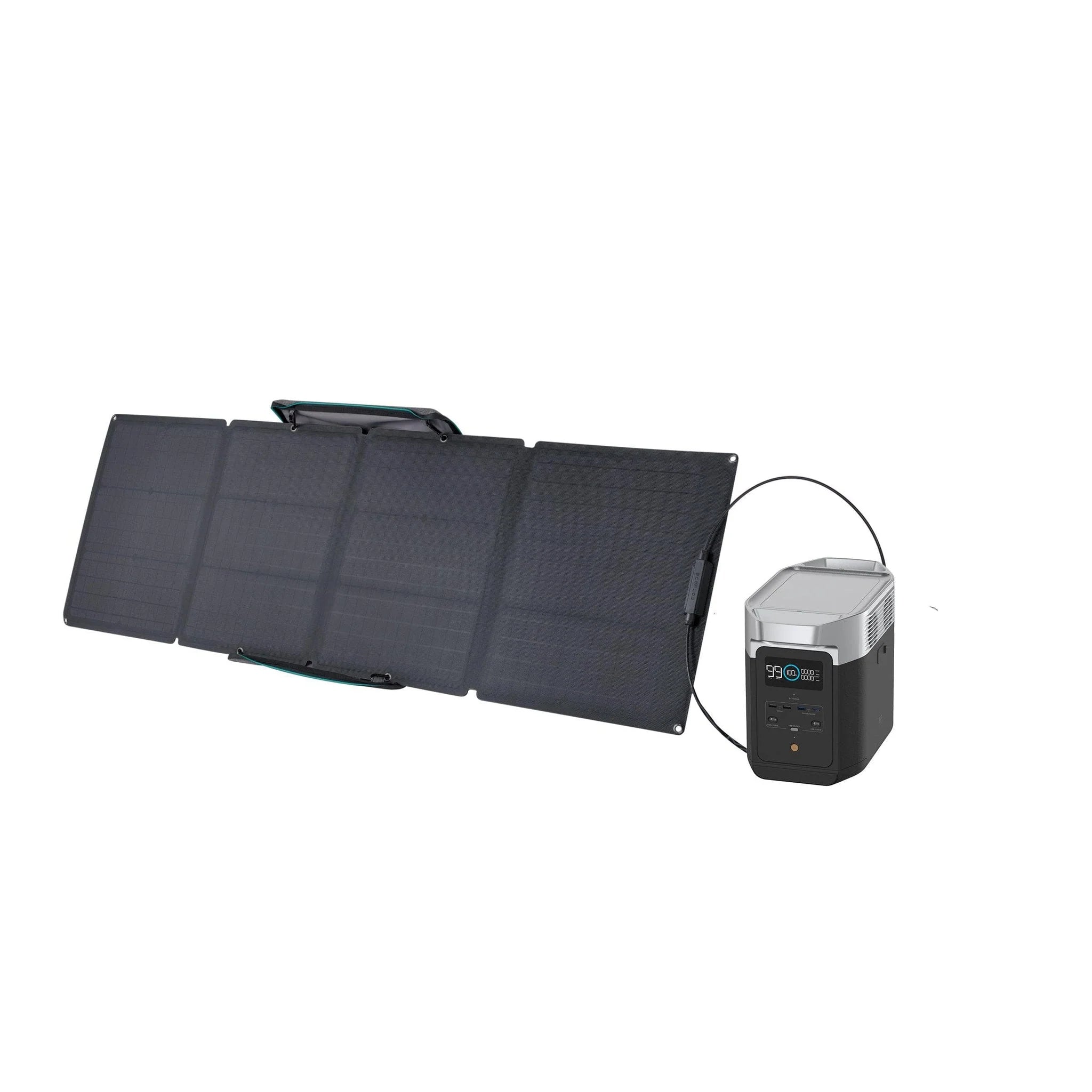 EcoFlow DELTA 2 Portable Power Station + Solar Panels