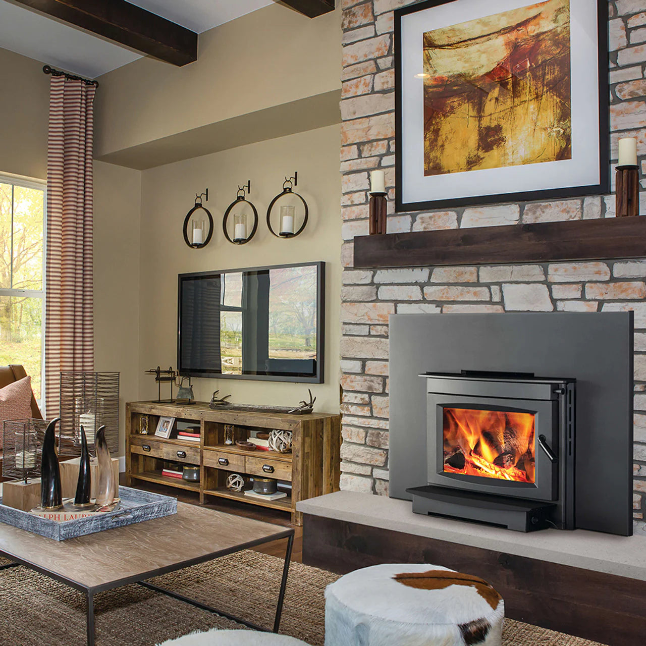 Napoleon Wood-Burning Cast Iron Fireplace Insert