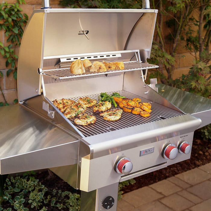 American Outdoor Grill T-Series 24 Inch Gas Grill On In-Ground Post
