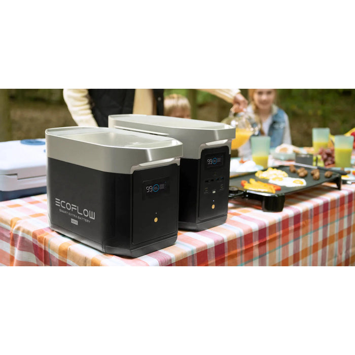 EcoFlow DELTA Max 2000 + 110W Solar Panel