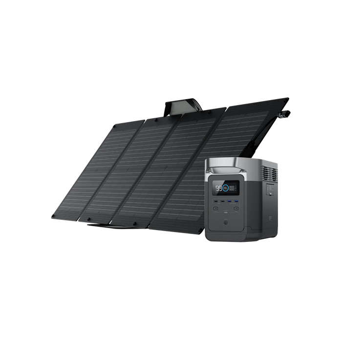 EcoFlow DELTA 1000 + 110W Solar Panel