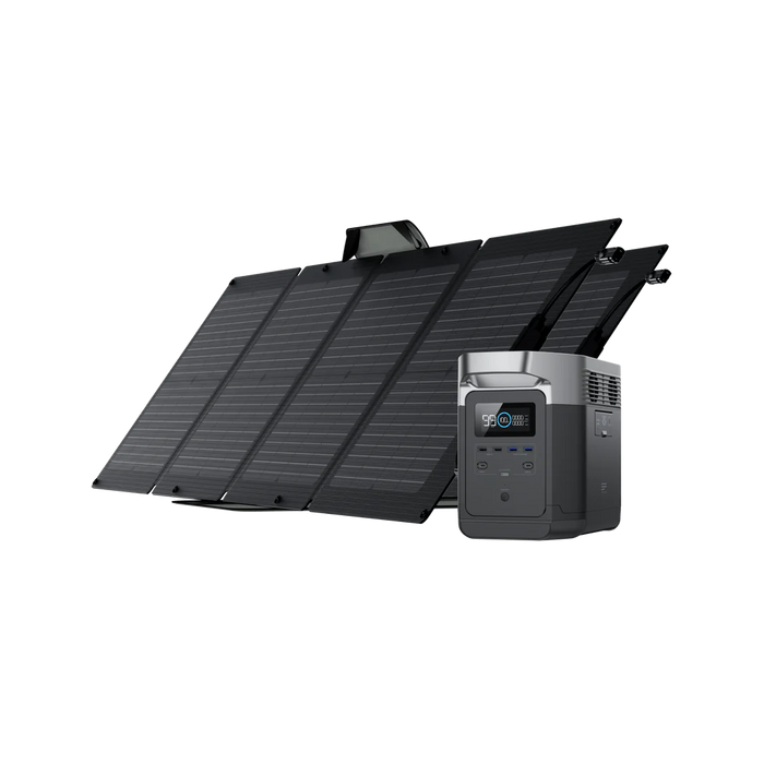 EcoFlow DELTA 1000+ 2*110W Solar Panel